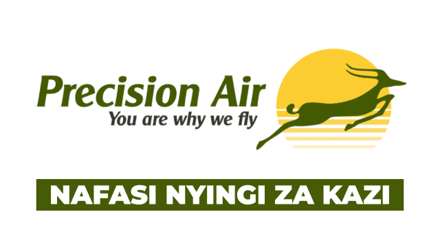 Precision Air Vacancies 2025