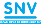 SNV Finance Intern – Treasury Opportunity August 2025