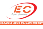 Sales Executive Vacancies at Expert Consultancy August 2025