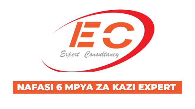 Sales Executive Vacancies at Expert Consultancy August 2025