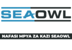 SeaOwl Group Tanzania Vacancies 2025