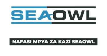 SeaOwl Group Tanzania Vacancies 2025