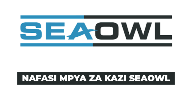 SeaOwl Group Tanzania Vacancies 2025