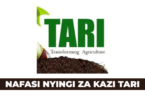 TARI New Vacancies August 2025