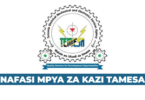 TEMESA New Vacancies August 2025