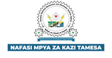 TEMESA New Vacancies August 2025