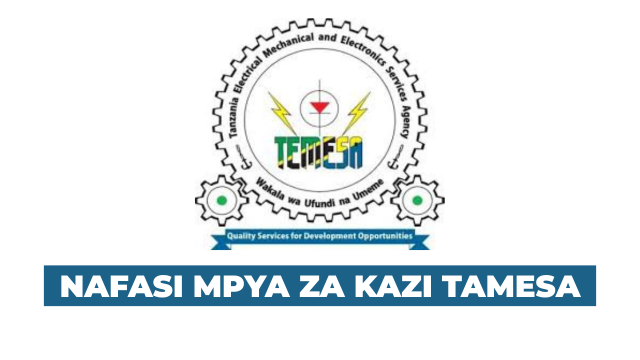 TEMESA New Vacancies August 2025