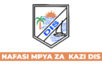 Teaching Jobs at Dar es Salaam Independent School 2 Vacancies, August 2025