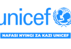 UNICEF Tanzania Vacancies 2025 (1)