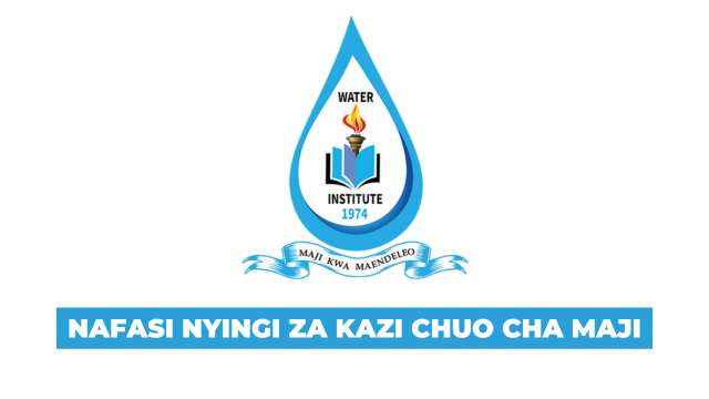 Water Institute New Vacancies August 2025