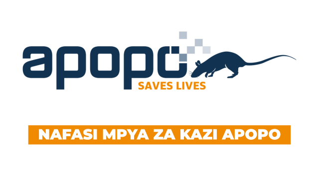information Management Officer at APOPO August 2025