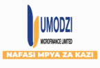 Assistant Internal Audit Manager at Umodzi Microfinance Limited 2025