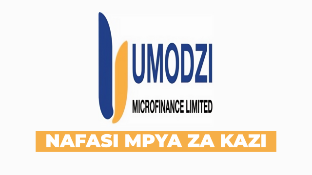 Assistant Internal Audit Manager at Umodzi Microfinance Limited 2025