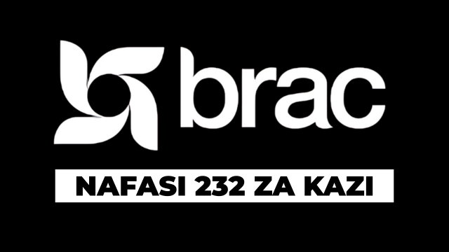 BRAC International Tanzania 232 Vacancies September 2025