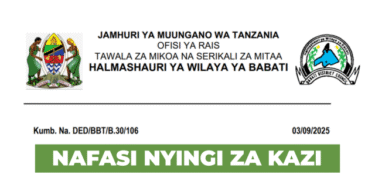 Babati District Council Driver Vacancies (5 Posts) September 2025