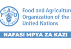 FAO Tanzania Environment & Climate Change Assistant Vacancies September 2025