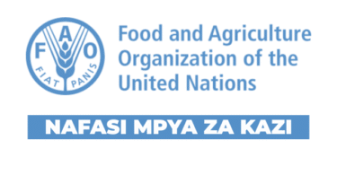 FAO Tanzania Environment & Climate Change Assistant Vacancies September 2025