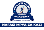 Felixstowe Academy Teacher Vacancies September 2025
