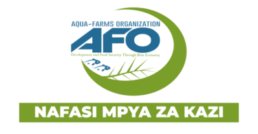 Finance Manager Vacancy at Aqua-Farms Organization (AFO) September 2025