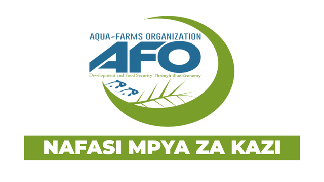 Finance Manager Vacancy at Aqua-Farms Organization (AFO) September 2025