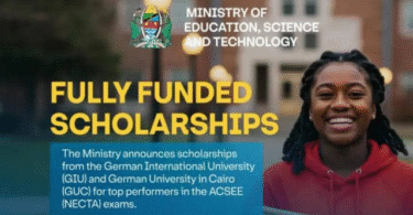 Fully Funded Scholarships for Tanzanian Students at German Universities 2025/2026
