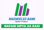 Head of Operations & ICT at Maendeleo Bank September 2025