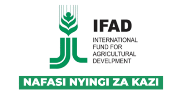 IFAD Various New Vacancies October 2025