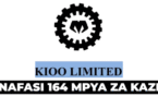 Kioo Limited 164 Vacancies September 2025
