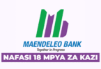 Maendeleo Bank Plc 18 Vacancies September 2025