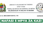 Maswa District Council 5 Vacancies September 2025