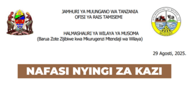 Musoma District Council 14 Vacancies September 2025