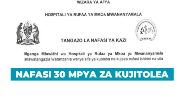 Mwananyamala Referral Hospital 30 Volunteer Vacancies 2025