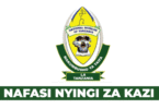 National Museum of Tanzania (NMT) Vacancies September 2025