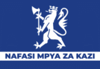 Norwegian Embassy Property Manager Vacancies September 2025