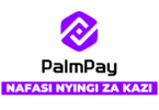 PalmPay Vacancies 2025