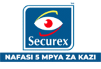 SECUREX Security 5 Accountant Vacancies September 2025