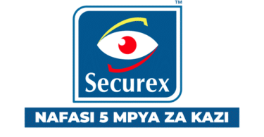 SECUREX Security 5 Accountant Vacancies September 2025