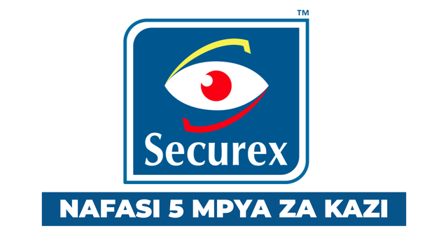 SECUREX Security 5 Accountant Vacancies September 2025