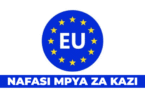 Secretary at the EU Delegation to Tanzania September 2025
