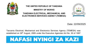 TEMESA 13 Vacancies September 2025