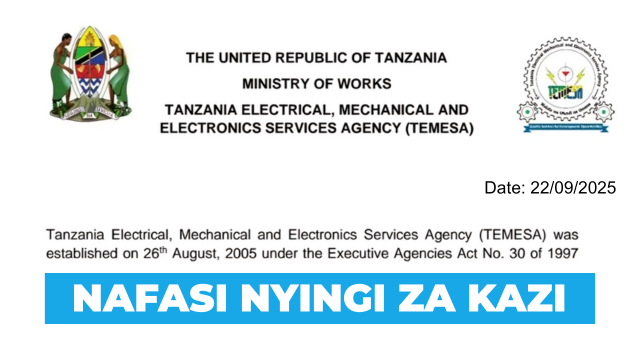 TEMESA 13 Vacancies September 2025