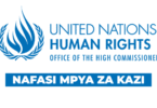 UN-OHCHR Tanzania Vacancies September 2025