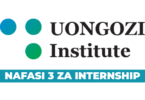 UONGOZI Institute Internships September 2025