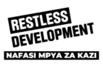 Website Development Consultant at Restless Development September 2025