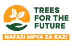 Administration Officer Vacancies at Trees for the Future October 2025