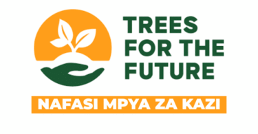Administration Officer Vacancies at Trees for the Future October 2025
