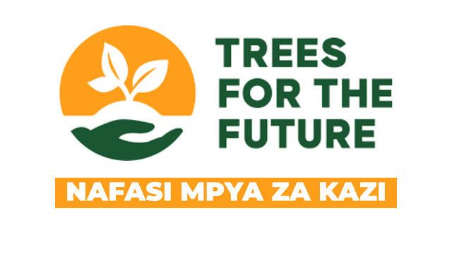 Administration Officer Vacancies at Trees for the Future October 2025