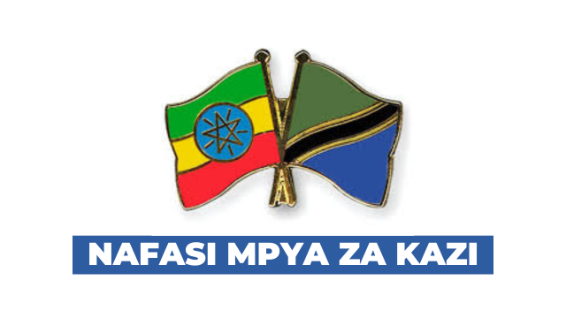 Driver Job Vacancy at the Embassy of Ethiopia – Dar es Salaam