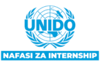 Field Office Internship at UNIDO 2025