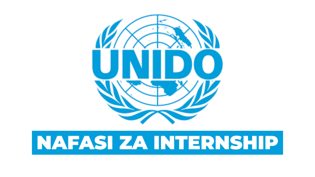 Field Office Internship at UNIDO 2025